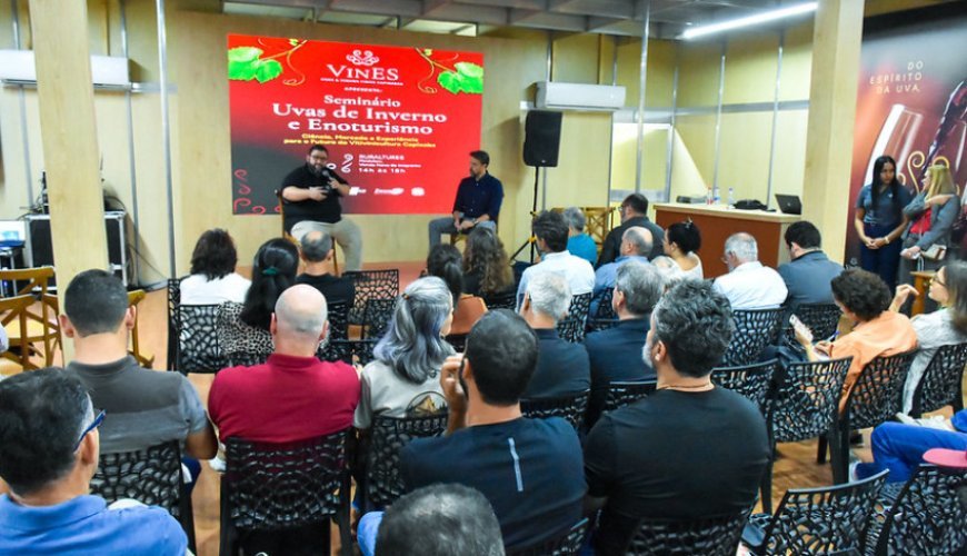 Edital seleciona produtores para projeto de cultivo de uvas de inverno no Espírito Santo
